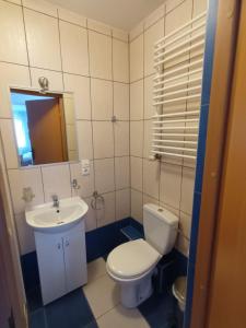 ein kleines Badezimmer mit Toilette und Waschbecken in der Unterkunft Villa Marcela in Karpacz + 25 Fotos
