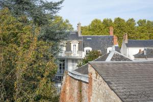 a large house is seen from the roofs of houses at Orléans centre T2 théâtre et cathédrale in Orléans