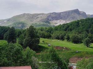 a green field with trees and a mountain in the background at Apartmani Jelenača in Sinanovići