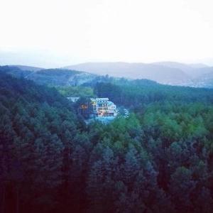 uma vista aérea de uma casa no meio de uma floresta em Hotel Surami em Surami