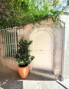 una planta en una olla delante de un garaje en L'OUSTAOU BELLO VISTO, en Le Castellet