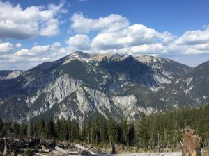 a mountain range with trees in the foreground at Appartement Linde in Mürzzuschlag