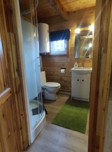 uma casa de banho com um WC, um lavatório e um espelho. em Domek BB em Podgórzyn