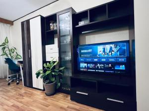 a living room with a television in a black entertainment center at Altheda Living Tineretului E8 in Suceava