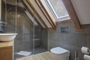a bathroom with a shower and a toilet and a skylight at Luderna - Casa Pleta de Arties Pruedo in Arties +19 photos