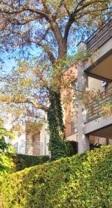 an apartment building with a tree in front of it at Apartament Wyspa, 2 pokoje, parking gratis in Międzywodzie