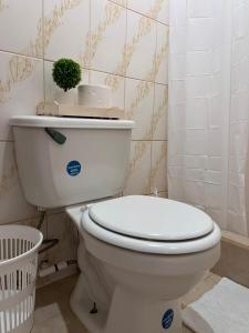 ein Badezimmer mit WC und einer Pflanze darüber in der Unterkunft A&K Island Apartments in Bocas del Toro