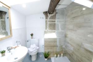 a bathroom with a shower and a toilet and a sink at Vella Nova by Serendipia Turismo in Santiago de Compostela
