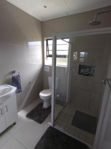 uma casa de banho com um chuveiro, um WC e um lavatório. em 2 Bedroom Guest Suite at A-frame Glengariff Beach em Glen Eden