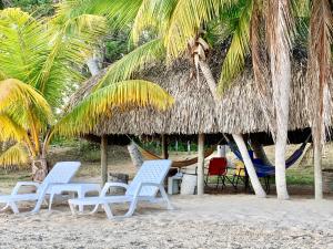 2 sillas y una hamaca en la playa en Casita Caribe en reserva natural, playa privada, kayaks, wifi, aire acondicionado, en San Onofre