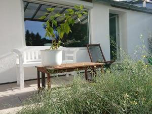 漢諾威的住宿－Bungalow in Messenähe，坐在门廊桌子上的盆栽植物