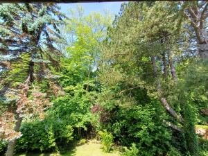 Vonkajšia záhrada v ubytovaní Villa 100 m du Touquet entre forêt et mer