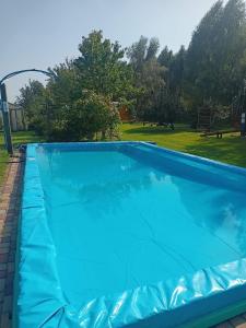 duży niebieski basen z parkiem w tle w obiekcie BRZOZOWY GAJ AGROTURYSTYKA w mieście Bobryk