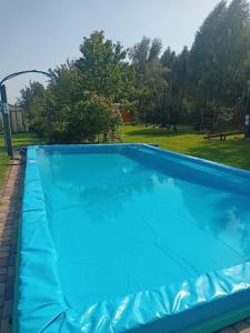 a large blue swimming pool with a park in the background at BRZOZOWY GAJ AGROTURYSTYKA in Bobryk +53 photos