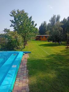 basen w ogrodzie z domem w tle w obiekcie BRZOZOWY GAJ AGROTURYSTYKA w mieście Bobryk
