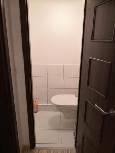 a bathroom with a toilet and a sink at Apartmánový byt Třemošná Revoluční 144 in Třemošná