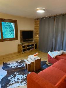 a living room with a red couch and a flat screen tv at Gorgeous 2 bedroom, 2 full bath, ski in apartment! in Morzine