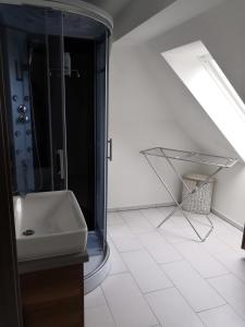 biała łazienka z prysznicem i umywalką w obiekcie Apartmánový byt Třemošná Revoluční 144 w mieście Třemošná