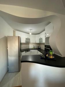 eine Küche mit einer schwarzen Theke und einem Kühlschrank in der Unterkunft Apartment Balicevac Ilidza in Sarajevo