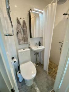 a bathroom with a white toilet and a sink at Valoisa ja täysin remontoitu huoneisto in Helsinki