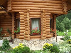 Cabaña de madera con 2 ventanas con macetas de flores en Cabana Piatra Runcului, en Vatra Moldoviţei