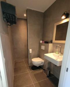 uma casa de banho com um WC e um lavatório em Timmershoeve em Vorstenbosch