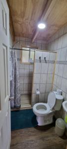 y baño pequeño con aseo y ducha. en Cabañas Chucao Austral, en Puerto Montt