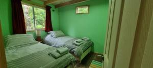2 camas en una habitación con paredes verdes en Cabañas Chucao Austral, en Puerto Montt
