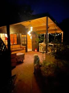 une petite maison avec terrasse couverte la nuit dans l'établissement Hipsy-Gipsy saunalodge, à Heede