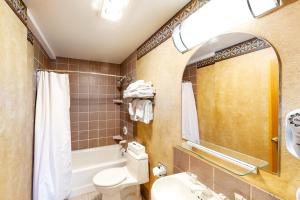 a bathroom with a toilet and a sink and a mirror at Shoshone 1930 in Big Sky