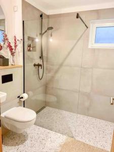 a bathroom with a toilet and a glass shower at See-Appartement Wörthsee in Wörthsee