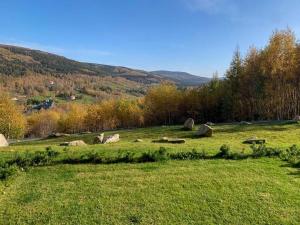 Príroda v okolí apartmánu