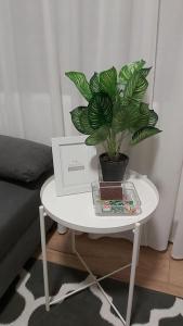Fotografia z galérie ubytovania BEZAGENTA MOZART1 Quiet Studio easy access to city vo Varšave