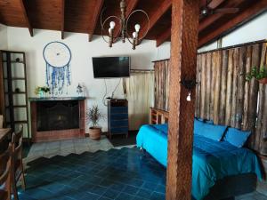 ein Schlafzimmer mit einem Bett und einem Kamin in der Unterkunft Casa del arroyo in Villa General Belgrano