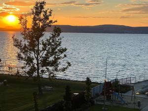 a sunset over a lake with a tree and a playground at Lela lakeside apartman a vizek szerelmeseinek in Balatonlelle
