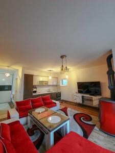 Η κουζίνα ή μικρή κουζίνα στο Bjelašnica apartman