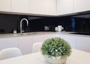 uma cozinha branca com um vaso de plantas sobre uma mesa em Modern new 1-bedroom apartment in Canberra City em Camberra