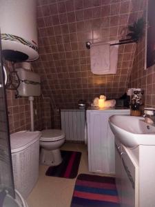 コラシンにあるVila Sreća - Kolašinのトイレと洗面台付きのバスルーム +11枚の写真