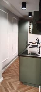 Kuchnia lub aneks kuchenny w obiekcie Tabago Studio 4 Katowice Superjednostka