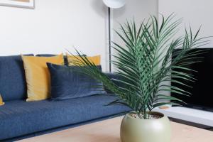 a plant sitting on a coffee table in front of a couch at Victoria Cottage in Cannock