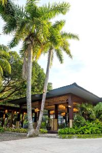 杜馬格特的住宿－UNWND Boutique Hotel Dumaguete，两棵棕榈树,在一座建筑前