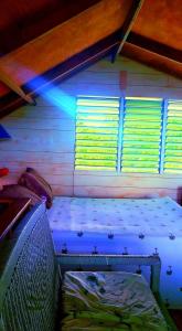 ein Schlafzimmer mit einem Bett in einem Zimmer mit Fenstern in der Unterkunft Ginger Lodge Cottage, Peters Rock, Woodford PO St Andrew, Jamaica - this property is not in Jacks Hill in Jacks Hill