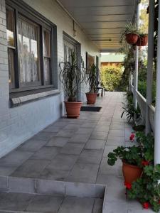 un patio con macetas en una casa en Flying Spur Motel, en Toowoomba