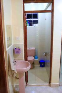 ein Badezimmer mit einem rosa Waschbecken und einem WC in der Unterkunft Cosy and spacious apartment in Meru in Meru