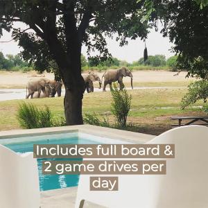 een groep olifanten die in een veld naast een boom lopen bij Msandile River Lodge in Kakumbi