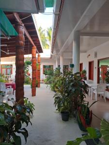 a hallway with plants and tables and chairs at Summer Sky Thoddoo in Thoddoo