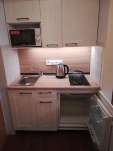 Kuchyň nebo kuchyňský kout v ubytování Apartment Christopherhof 56 Grafenwiesen