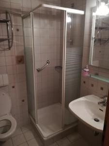 Koupelna v ubytování Apartment Christopherhof 56 Grafenwiesen