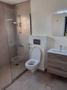a bathroom with a shower and a toilet and a sink at Byblos Prime in Aqaba