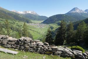 Príroda v okolí apartmánu